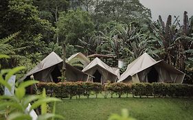 Alamu Eco Lodge